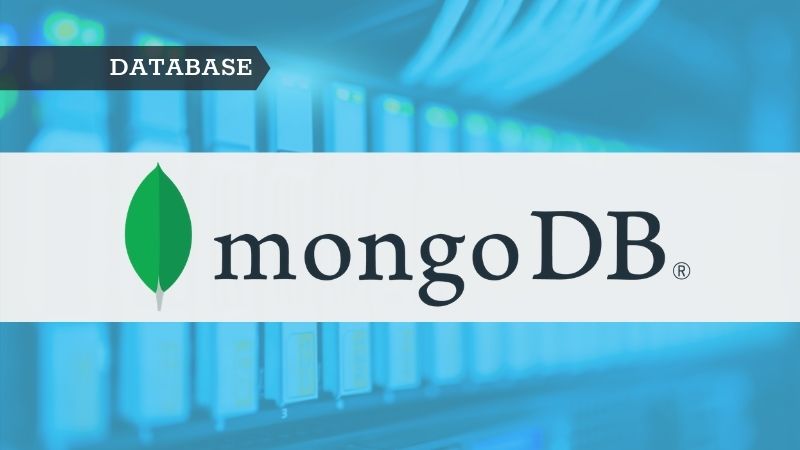 MongoDB for storing ML Model resized