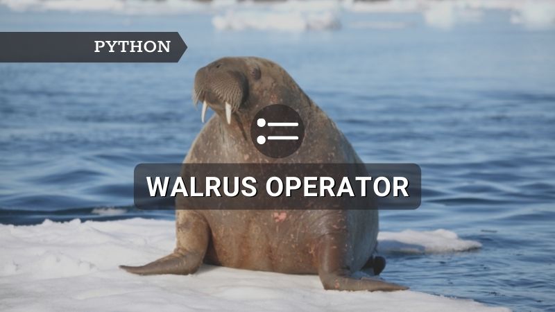 Python Walrus Operator