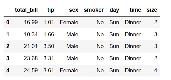 tips-dataset-head